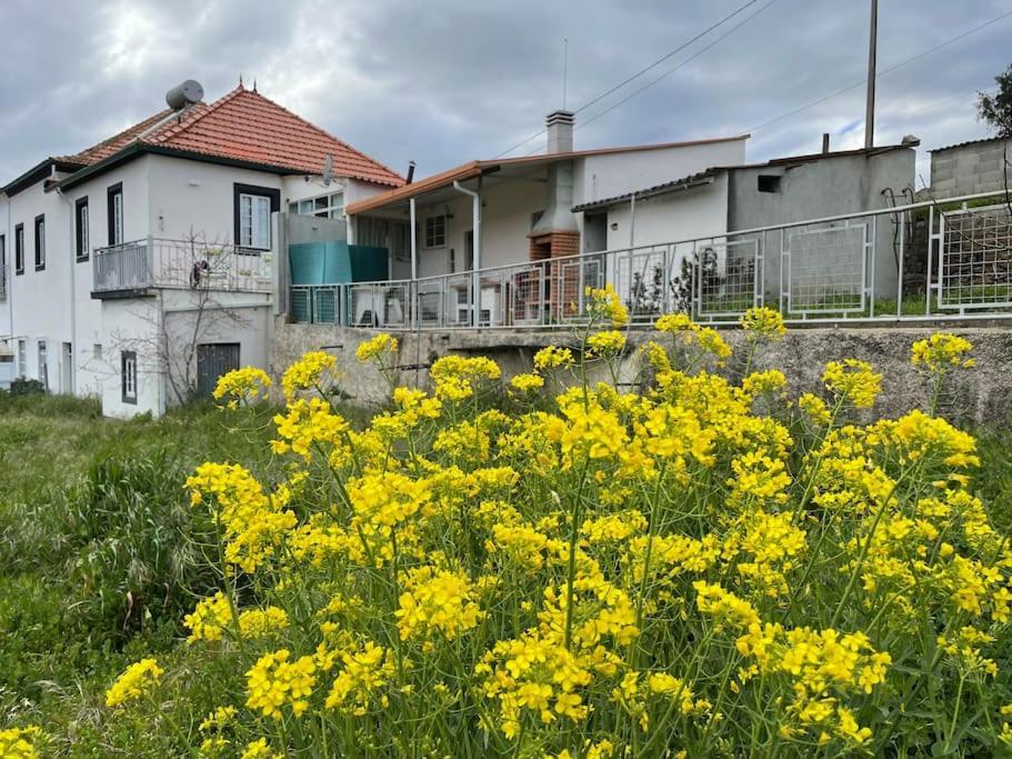 Casa Da Celeste Maljoga de Proenca Eksteriør billede