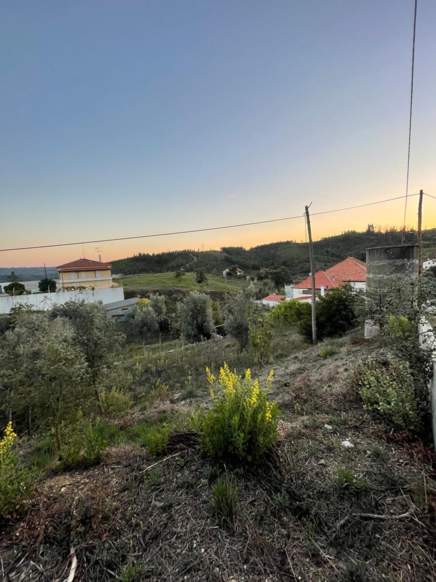 Casa Da Celeste Maljoga de Proenca Eksteriør billede